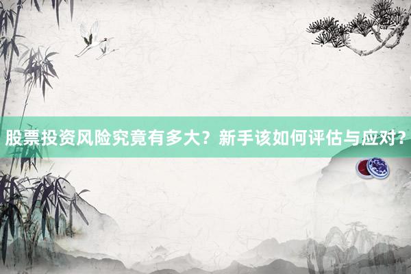 股票投资风险究竟有多大？新手该如何评估与应对？