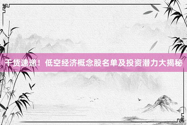 干货速递！低空经济概念股名单及投资潜力大揭秘
