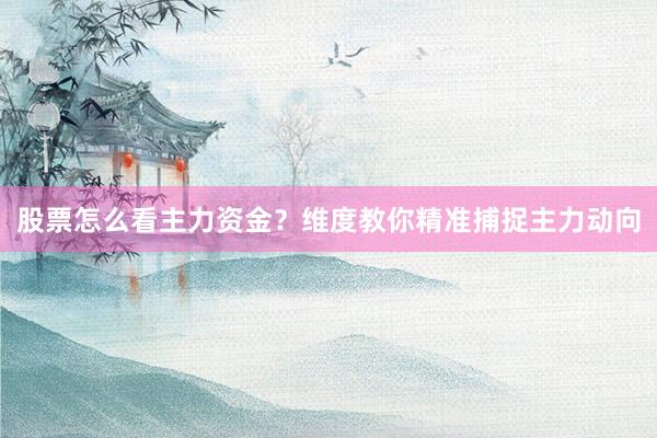 股票怎么看主力资金？维度教你精准捕捉主力动向