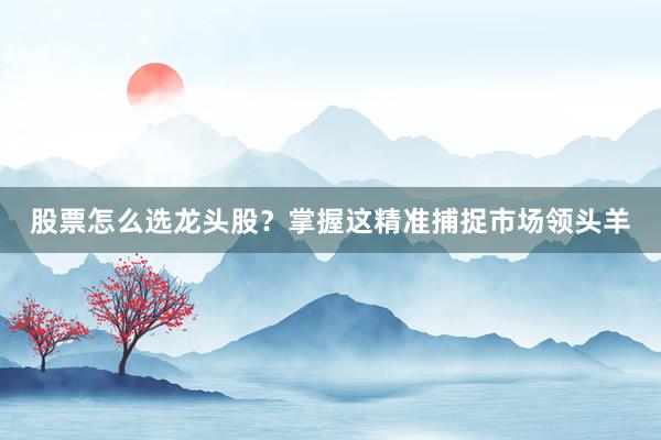 股票怎么选龙头股？掌握这精准捕捉市场领头羊