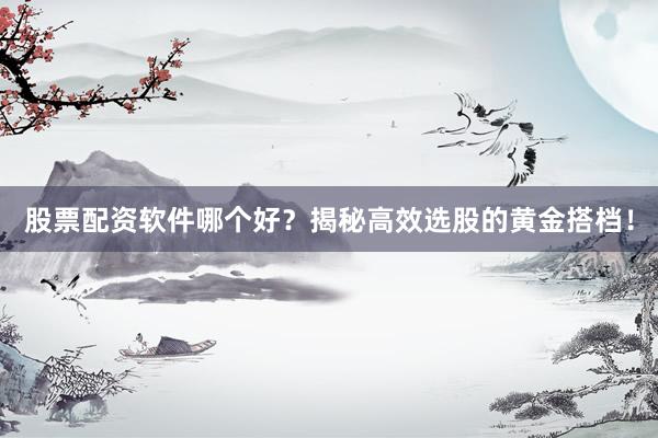 股票配资软件哪个好？揭秘高效选股的黄金搭档！