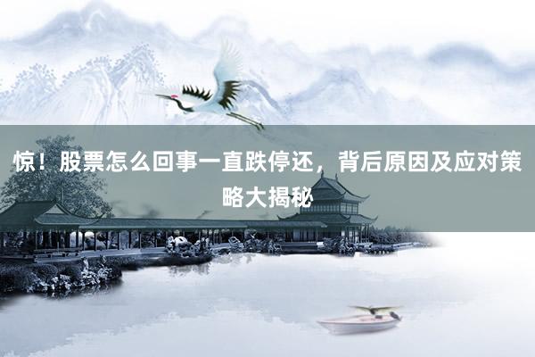 惊！股票怎么回事一直跌停还，背后原因及应对策略大揭秘