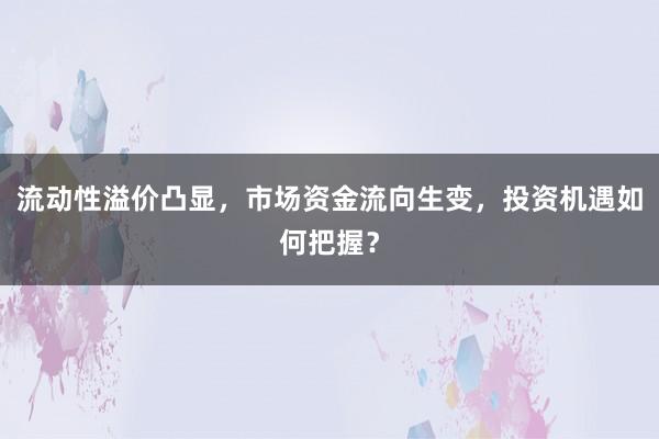 流动性溢价凸显，市场资金流向生变，投资机遇如何把握？