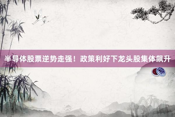 半导体股票逆势走强！政策利好下龙头股集体飙升