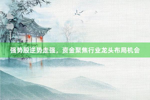 强势股逆势走强，资金聚焦行业龙头布局机会