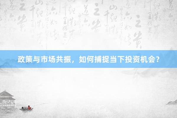 政策与市场共振，如何捕捉当下投资机会？