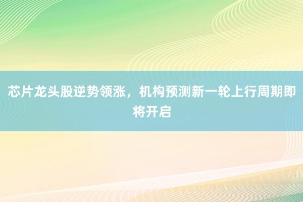 芯片龙头股逆势领涨，机构预测新一轮上行周期即将开启