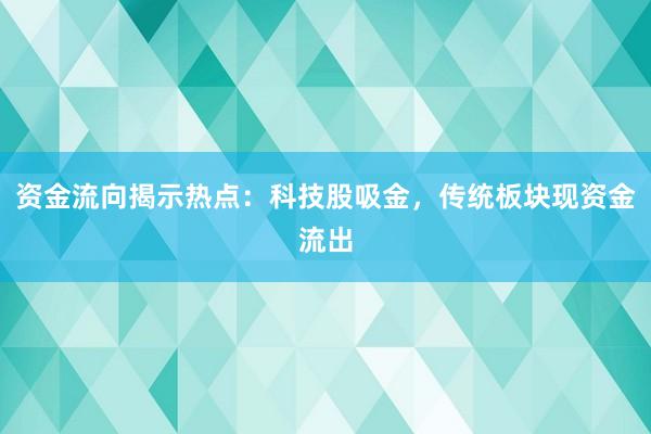 资金流向揭示热点：科技股吸金，传统板块现资金流出