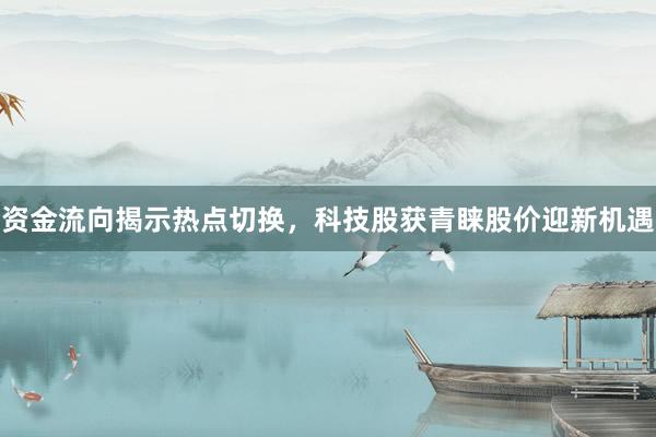 资金流向揭示热点切换，科技股获青睐股价迎新机遇