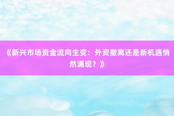 《新兴市场资金流向生变:外资撤离还是新机遇悄然涌现?》