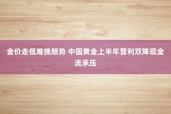 金价走低难挽颓势 中国黄金上半年营利双降现金流承压