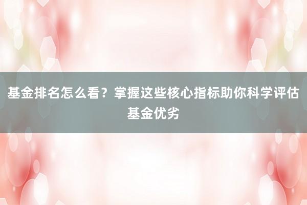 基金排名怎么看？掌握这些核心指标助你科学评估基金优劣