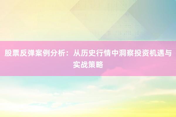 股票反弹案例分析：从历史行情中洞察投资机遇与实战策略