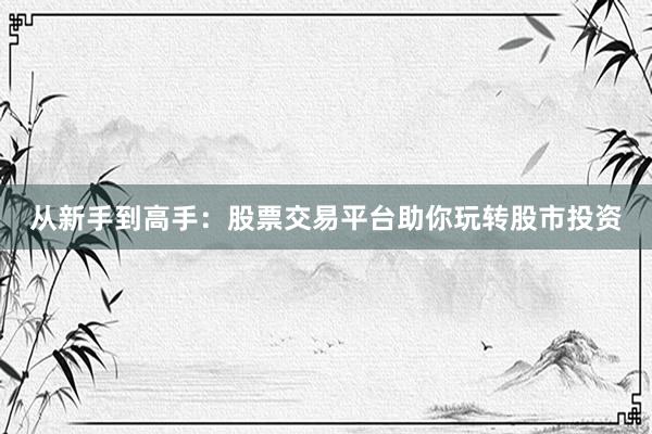 从新手到高手：股票交易平台助你玩转股市投资